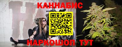 сатива Моздок
