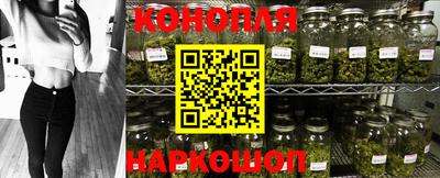 сатива Моздок