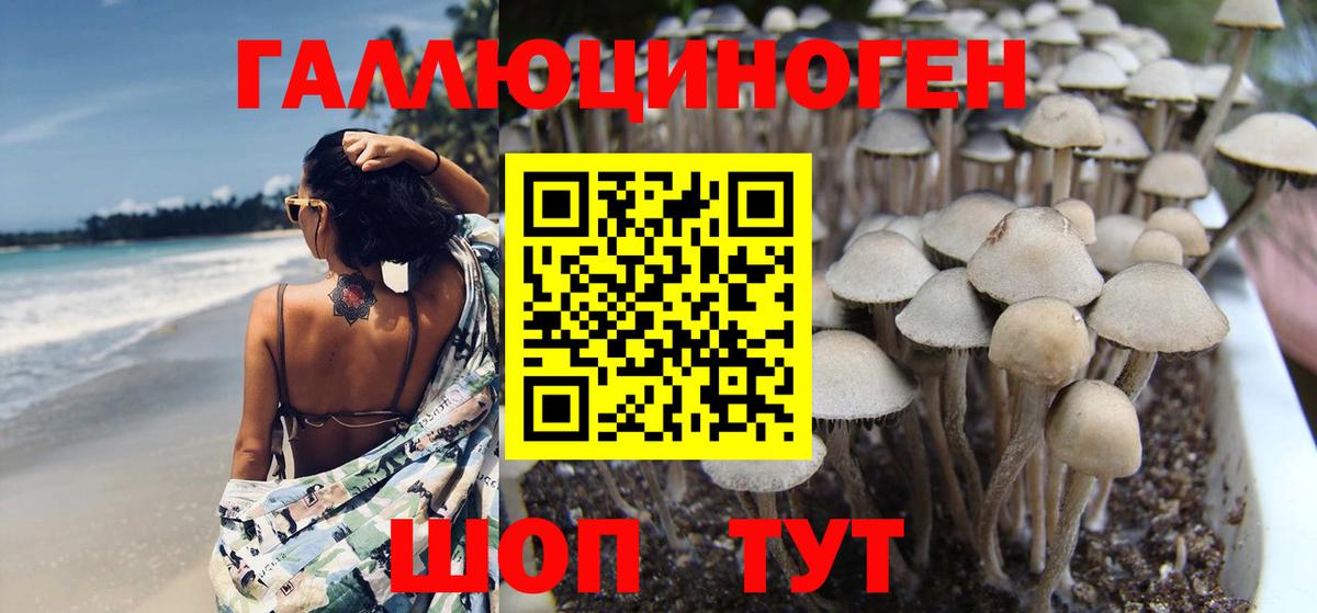 Галлюциногенные грибы Magic Shrooms  Вход с VPN  Чистополь 