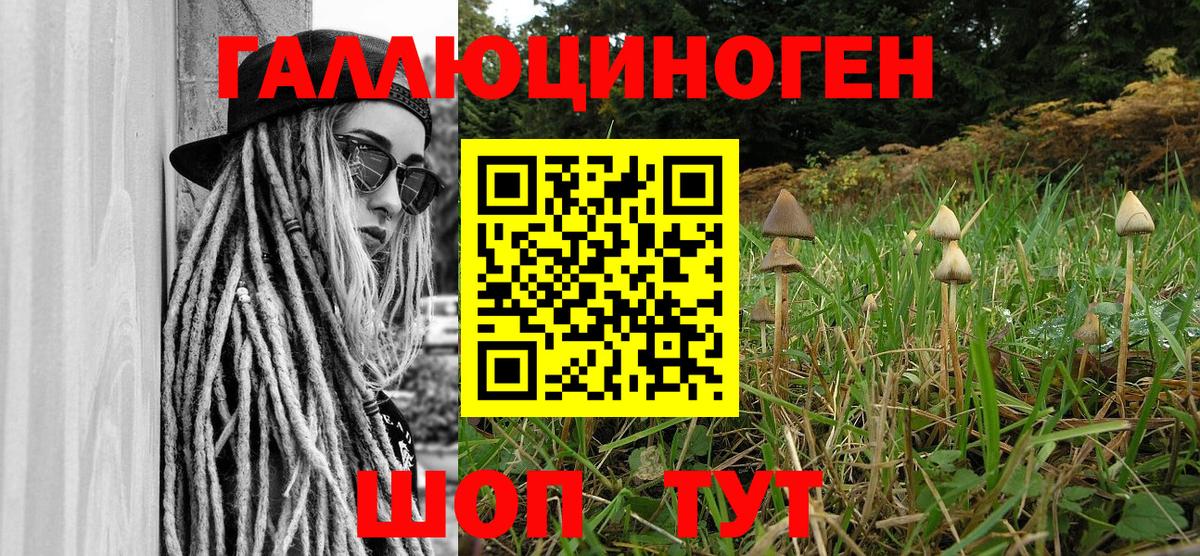 Псилоцибиновые грибы мицелий Чистополь